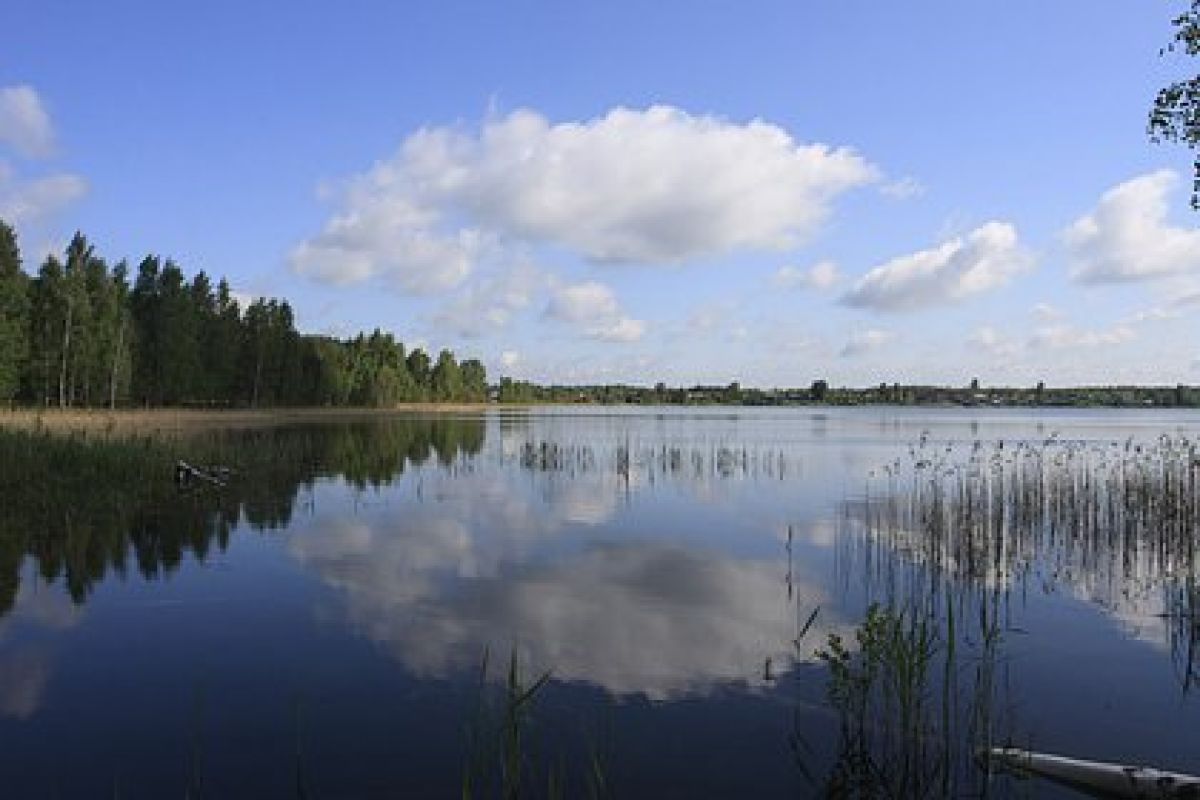 Фото с ленты https://lenta.ru/rss